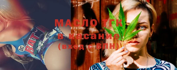 индика Краснослободск