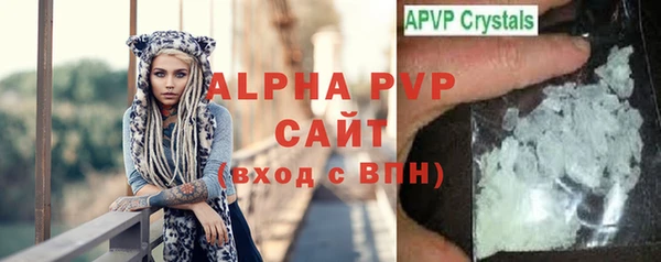 сатива Корсаков