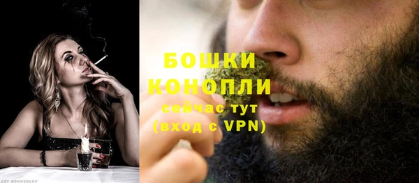 индика Краснослободск