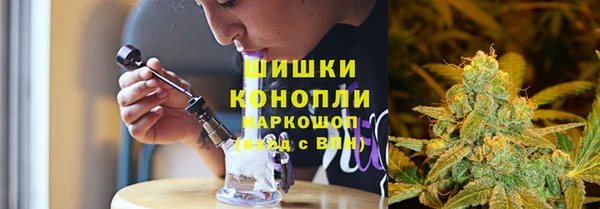 индика Краснослободск