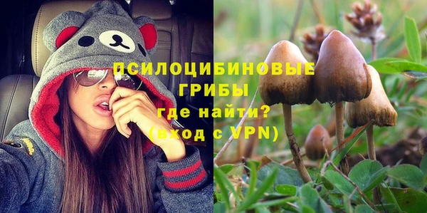сатива Корсаков