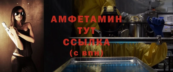 индика Краснослободск
