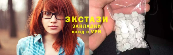 индика Краснослободск