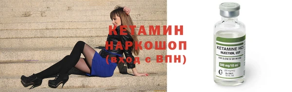 индика Краснослободск