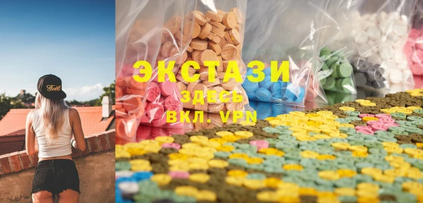индика Краснослободск