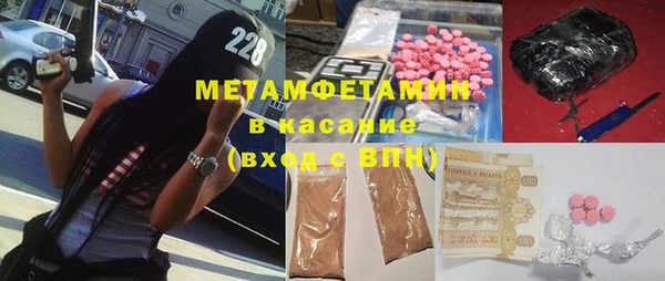 индика Краснослободск