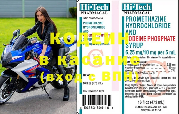 индика Краснослободск