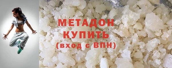 индика Краснослободск