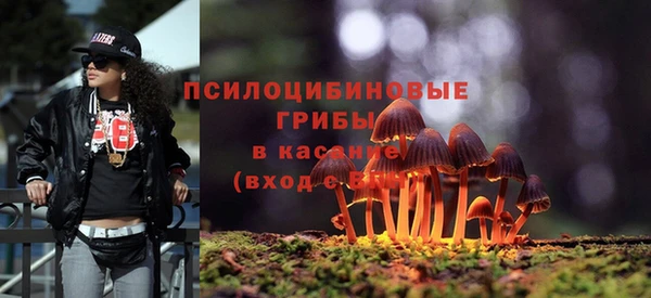 индика Бежецк