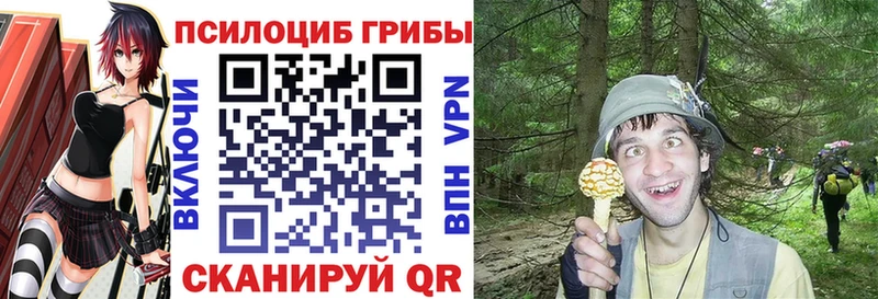Галлюциногенные грибы GOLDEN TEACHER  Краснокамск 